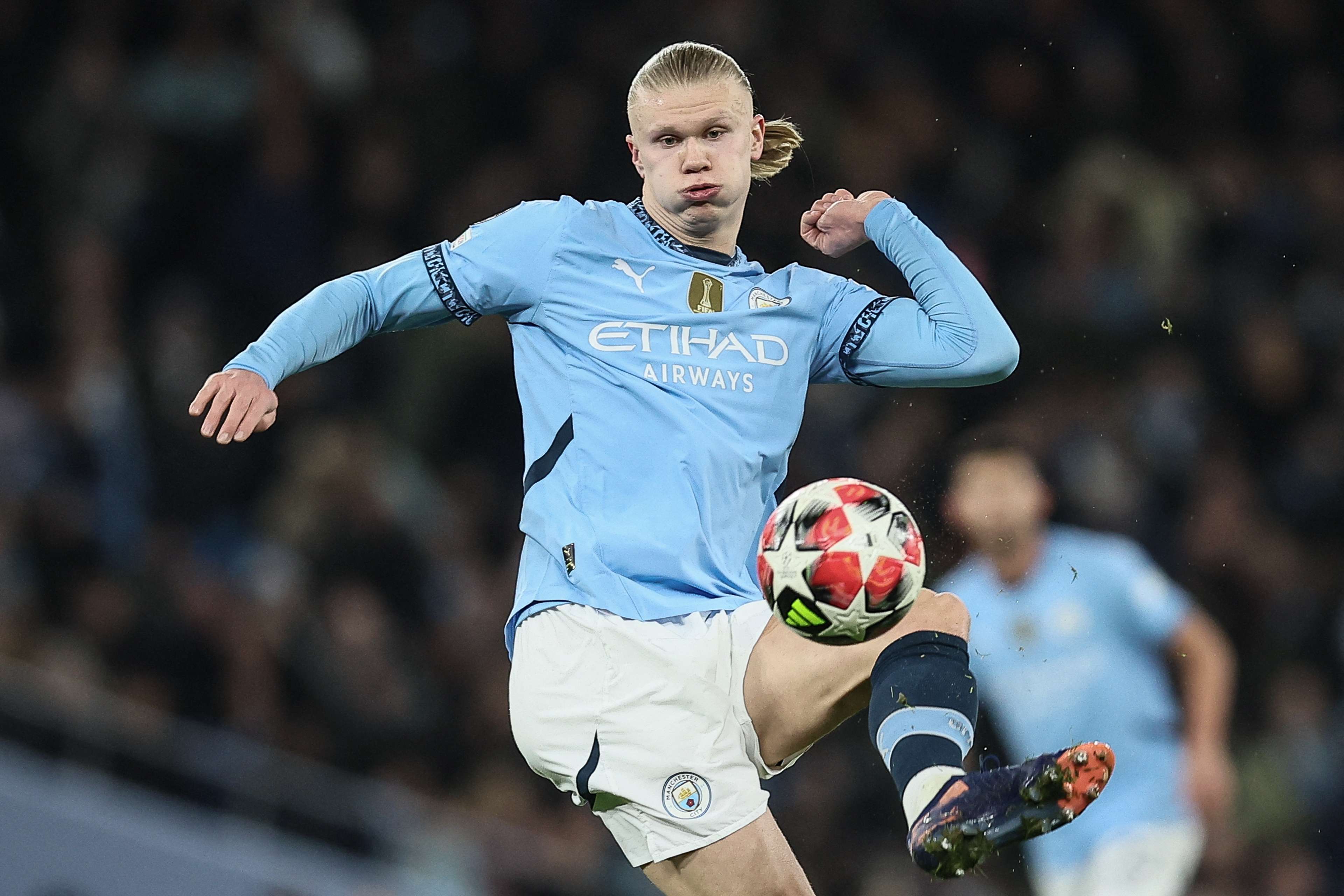 看好的队伍 看好的队伍