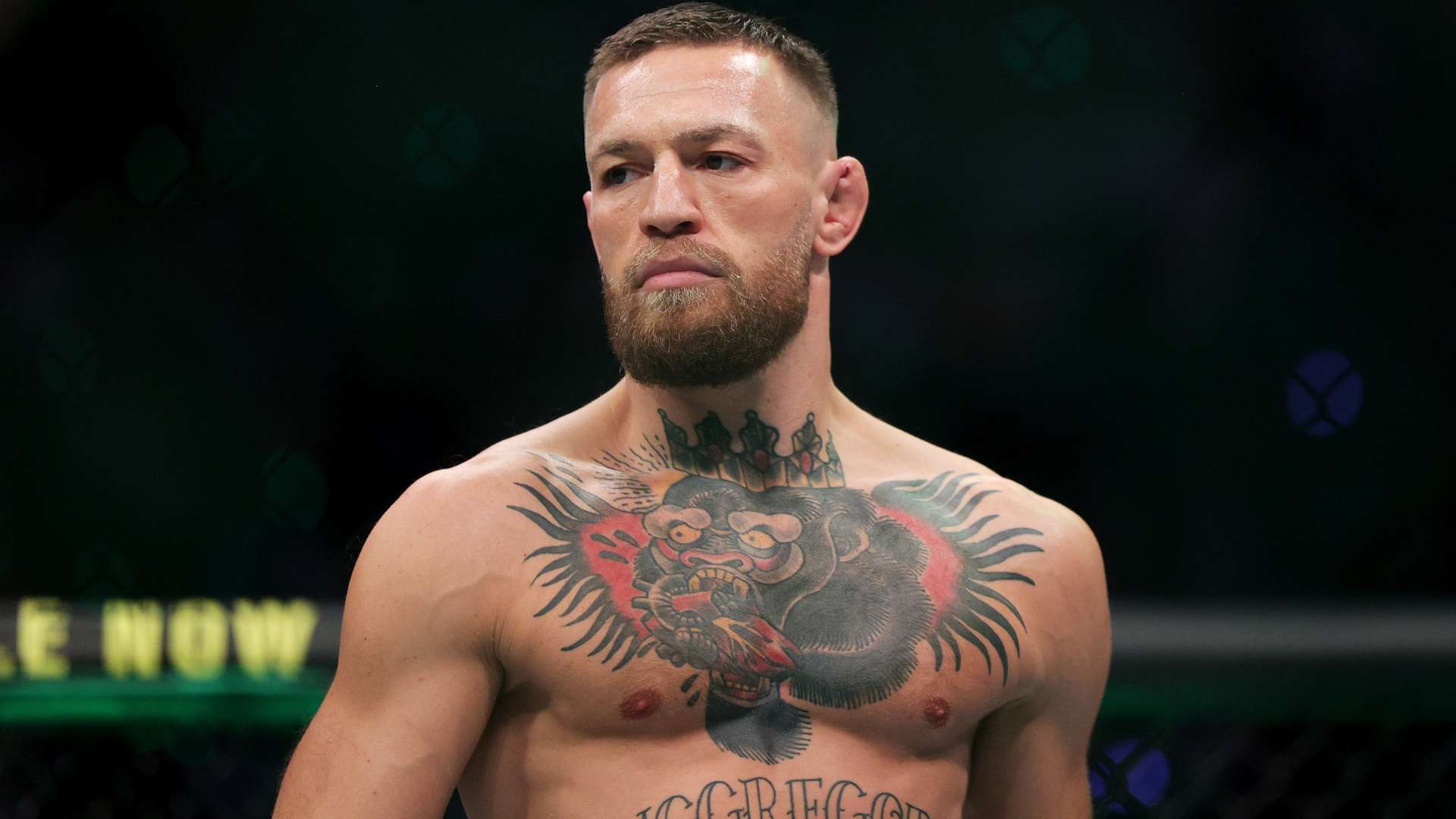 望在下一次 望在下一次